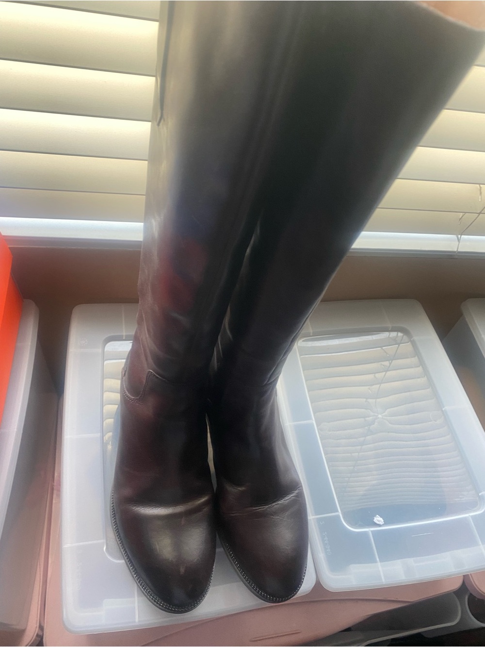 Franco Sarto Tall Leather Riding Boots in Dark Brown